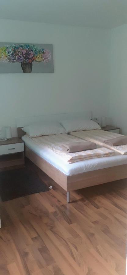 Sara Vl. Franjo Klasic Apartment Krapina